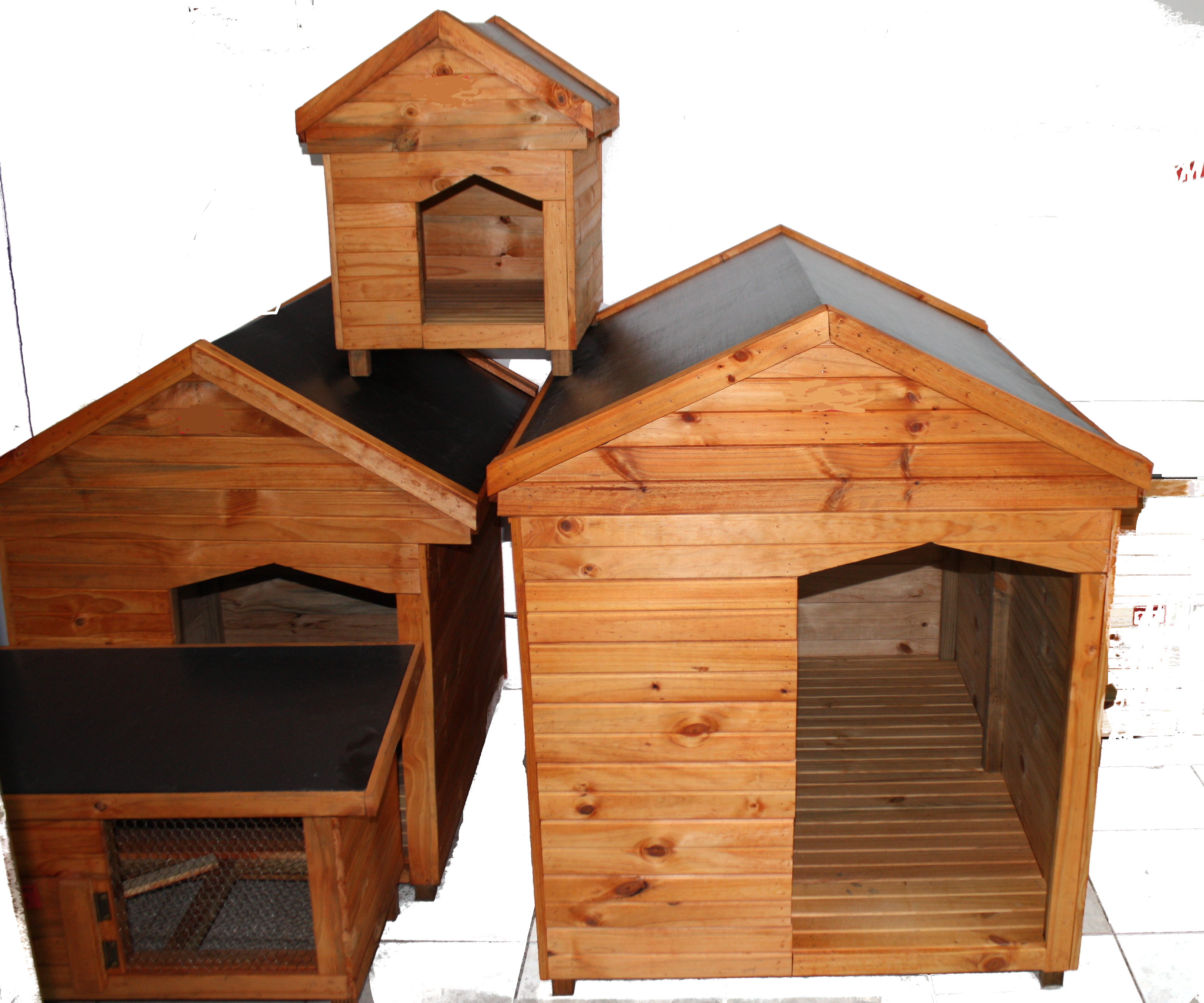 Kennels deals somerset west